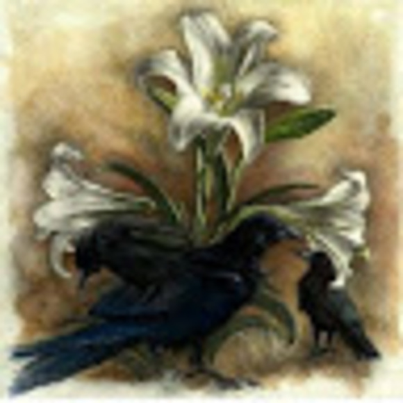 Meet your Posher, Rhonda - Picture 1 of 1